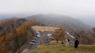 半月山までの登山道から見た半月山駐車場　日光