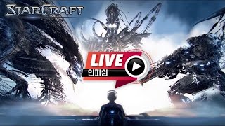 24.12.27(금) 【 인피쉰 생방송 다시보기 】 스타 빨무 스타크래프트 Starcraft