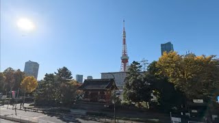 浜松町駅の平田です（増上寺東京タワー編）　#現場の平田です#増上寺 #東京タワー #散歩 #ウォーキング #浜松町 #東京 #観光#japan #tokyo #walking