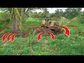 Bulldozer pushing the soil in mango farm and forest !!! construction 13 !! complete !! bd2f working