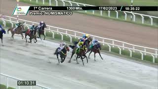 230217 c07 - BORDOLINO - HIPODROMO LAS PIEDRAS