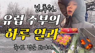 유럽 일상🇪🇺 유럽 사는 주부의 하루 | 감성따윈 없는 결혼 10년차 부부의 현실 | 데이트 브이로그 🎄✨ 눈 내리는 일상 12월 유럽 #해외브이로그 #주부브이로그  #vlog