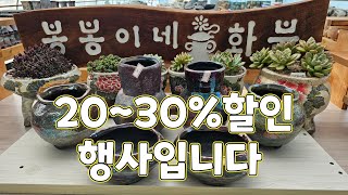 9월18일 #봉봉이네화분#예쁜수제다육화분#20%30%할인세일입니다