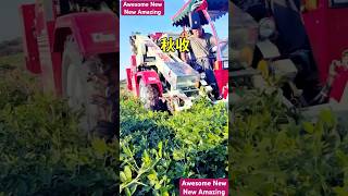 New weed pulling up and groundnut harvesting machine in China