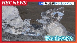 冬の造形「ドラゴンアイス」が見頃　流氷に先駆け、無数の氷が波打ち際でキラキラ輝く