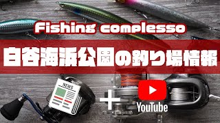 白谷海浜公園の釣り場情報【Fishing complesso 愛知県の釣り場情報】