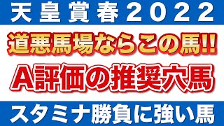 【天皇賞・春2022 予想】道悪馬場ならこの馬！A評価の推奨穴馬を公開！?