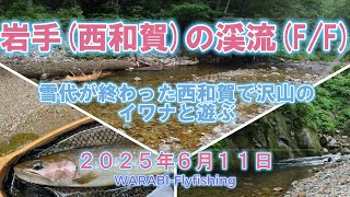 岩手西和賀