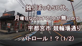 独りぼっち５０代、月曜日なのにすることが無いので、宇都宮市 競輪場通り パトロール！？(1/2)