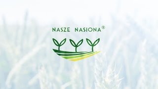 Nasze Nasiona® - odmiana Silverado pszenżyto ozime