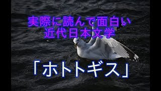 徳富蘆花　「不如帰」　の面白さ