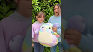 Squishmollow Or Me