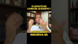 LEVIATÃ DO LIVRO DE JÓ EXISTE ? #teologia #rodrigosilva #igreja #catolico #leviatan #shorts #biblia