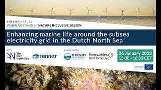 Enhancing marine life around the subsea electricity grids in the Dutch North Sea: NID webinar #2