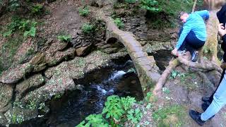 Healey dell