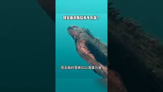 现实版的哥斯拉有多厉害？#海鬣蜥@DOU+小助手   How powerful is the real Godzilla? #sea iguana@DOU+little assistant