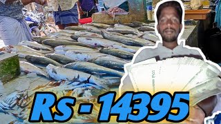 14395 - ரூபாய்க்கு ஏலம் போன காலா மீன்கள் | Adirampattinam fish market