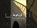 فوبیایی که شاید داشته باشی😵‍💫😰 part 4