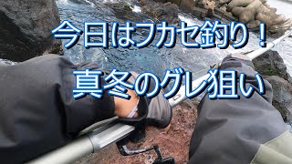 【釣り】今日はフカセ釣り！真冬のグレを狙う