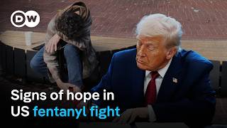 Why are US fentanyl deaths falling? | DW News