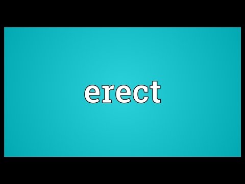 What is another word for erect?