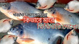 ওয়াও কত  রুপচাদা মাছ ভিডি ও টি দেখুন #sundarban #fishing #sundarban_vlog