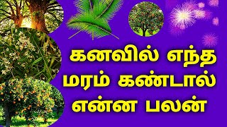 Maram Kanavil Vanthaal Enna Palan| Tree Dream Meaning In Tamil |KalyanaVirundhu