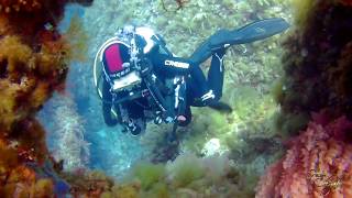 Scuba Diving Women