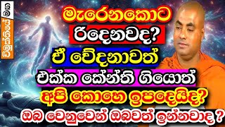 ඔබට ඔබවත් අයිති නැති බව තේරේවි මේ බණ ඇසුවාම,හැමෝම අහන්න | Koralayagama saranathissa thero bana 2024