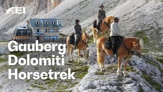 There's no better companion in the Dolomites than a Haflinger horse | RIDE presented by Longines