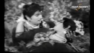 Remembering Noor Jehan On Her 9th Anniversary - Aadhi Raat Ka Chanda - Ik Sapera (1971)