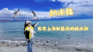 纳木措，西藏三大圣湖之一，是世界上海拔最高的咸水湖。#纳木错