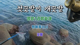 첫끗발이 개끗발.....(feat.포항바다낚시 영암1리방파제 벵에돔낚시)