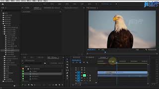 11.13.FilmImpact高级特效转场效果组III | Adobe Premiere 2020教程