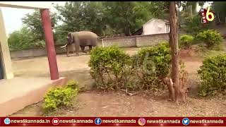 ಶಾಲೆಗೆ ಬಂದ ಗಜರಾಜ | Elephant | NEWS6 KANNADA |