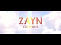 ZAYN - Common (Audio)