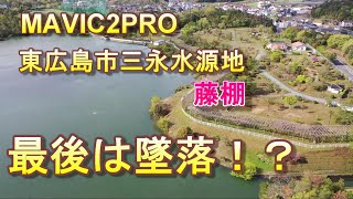 【最後は墜落！？】2021 0418 東広島市三永水源地の藤棚を空撮、