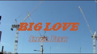 smol fish - Big Love (Official Music Video)