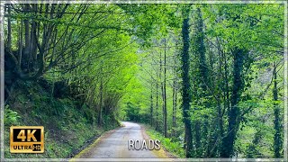 Spring Serenity: Journey to Mtirala National Park | 4k #roads #ambientmusic