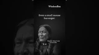 Native American Proverbs PT1 || #shorts #wisdombox #positive #reels #tiktok #quotes