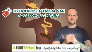 Ilyen hatással van az alkohol a májra! 🤔🍺 - hillvital.hu