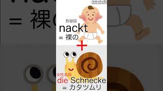 【衝撃🇩🇪ドイツ語！】「裸のカタツムリ」って何？🐌😲 #shorts #ドイツ語驚き #ドイツ語面白い