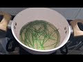 goose grass tea paragis grass tea preparation how to prepare fresh natural herbal tea