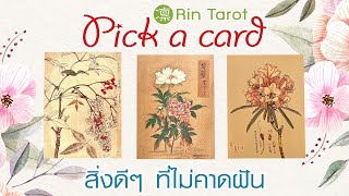 Pick a Card สิ่งดีๆที่ไม่คาดฝัน ในช่วง 12 เดือนข้างหน้า Timeless ไม่จำกัดเวลา