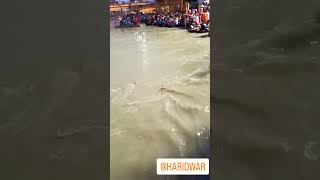 Ganga Maiya @harkipauriharidwarunofficial84 #haridwar