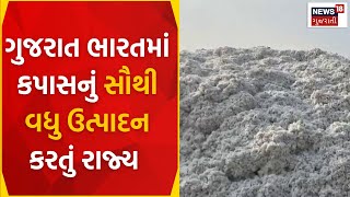 Gandhinagar News : ગુજરાત ભારતમાં કપાસનું સૌથી વધુ ઉત્પાદન કરતું રાજ્ય | Farmers | News In Gujarati