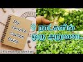 9 days harvest| வெந்தயக் கீரை விதைப்பு முதல் அறுவடை வரை