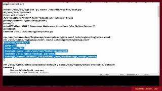 Python CGI On Nginx