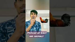 mimicry of birds and animals