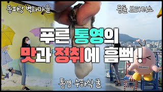 푸른 통영의 맛과 정취에 흠뻑!💙  | 전국을 달린다-창원 (KBS 2021.11.17, 수 방송)